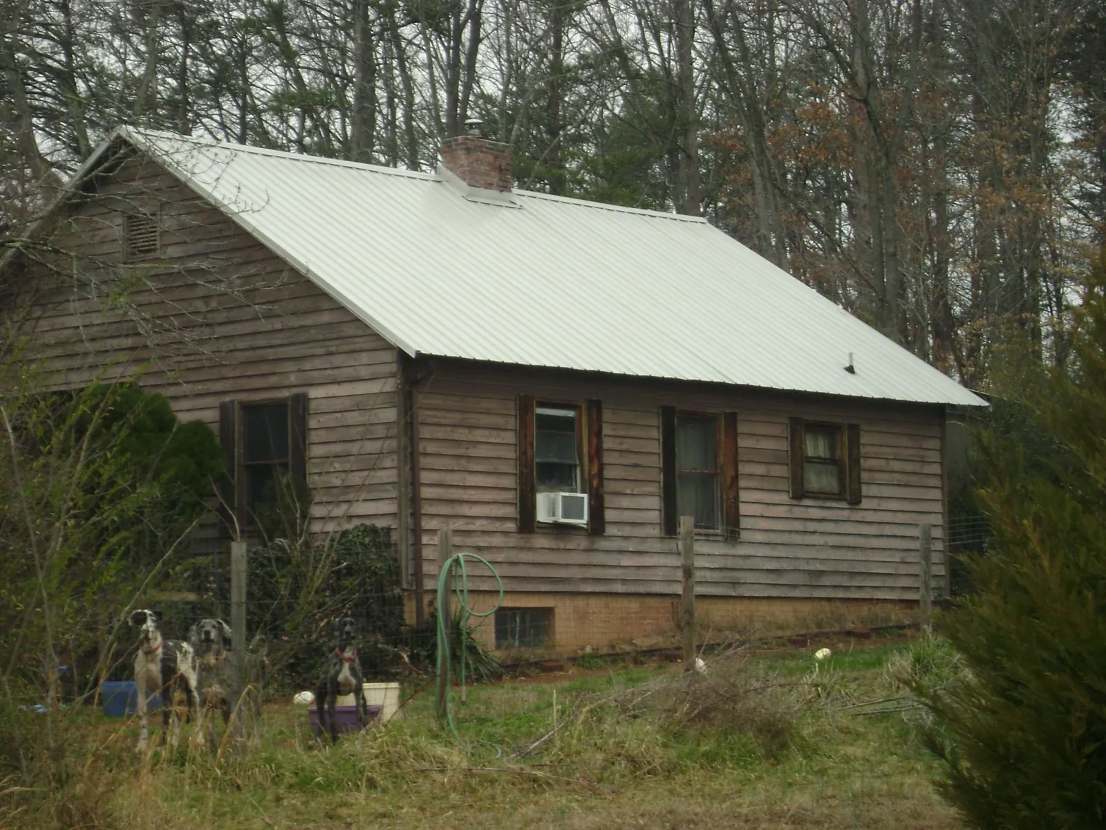 White metal roof on an old wood sided farmhouse, from a Asphalt Shingle Roof Repair job in Du Quoin